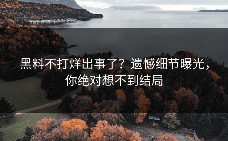 黑料不打烊出事了？遗憾细节曝光，你绝对想不到结局