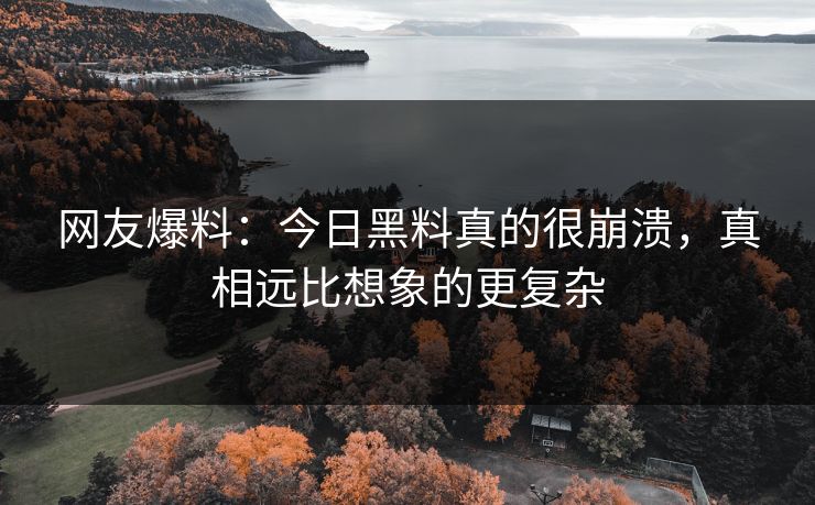 网友爆料：今日黑料真的很崩溃，真相远比想象的更复杂