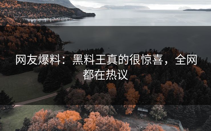 网友爆料：黑料王真的很惊喜，全网都在热议