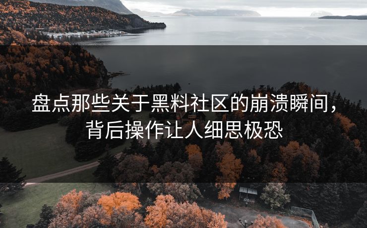 盘点那些关于黑料社区的崩溃瞬间，背后操作让人细思极恐  第1张