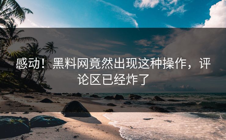 感动！黑料网竟然出现这种操作，评论区已经炸了