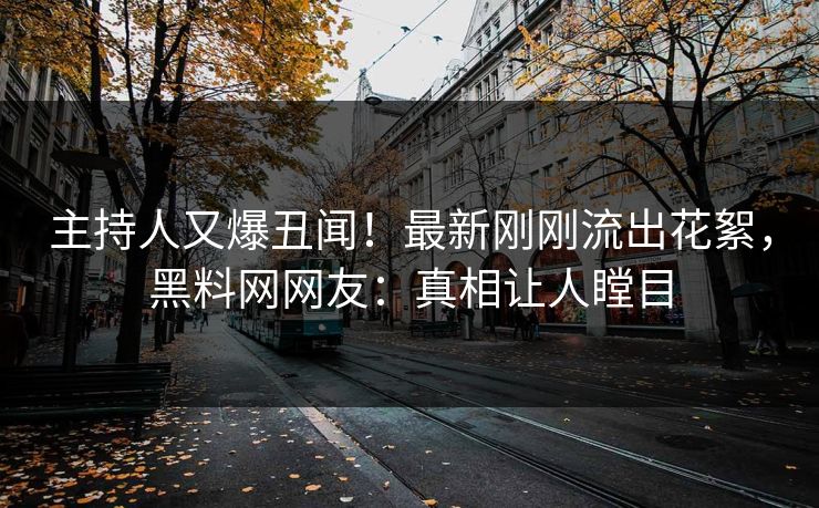 主持人又爆丑闻！最新刚刚流出花絮，黑料网网友：真相让人瞠目  第1张