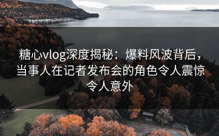 糖心vlog深度揭秘:爆料风波背后,当事人在记者发布会的角色令人震惊令人意外