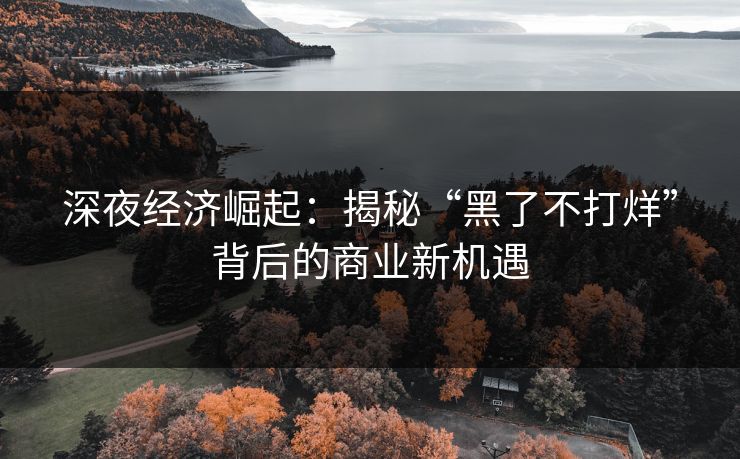 深夜经济崛起：揭秘“黑了不打烊”背后的商业新机遇