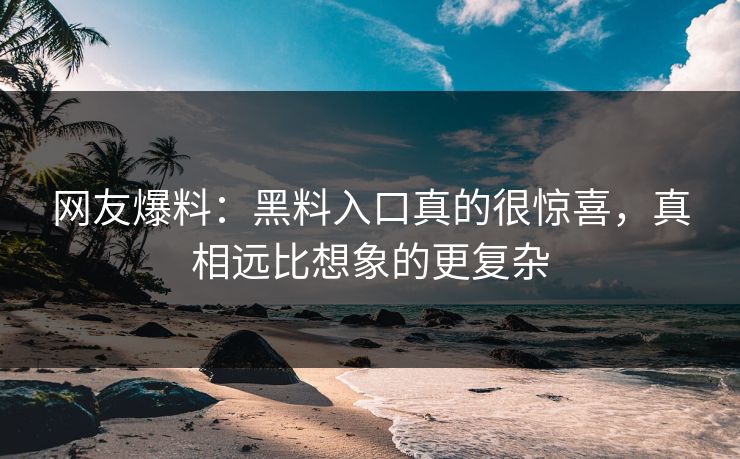 网友爆料：黑料入口真的很惊喜，真相远比想象的更复杂