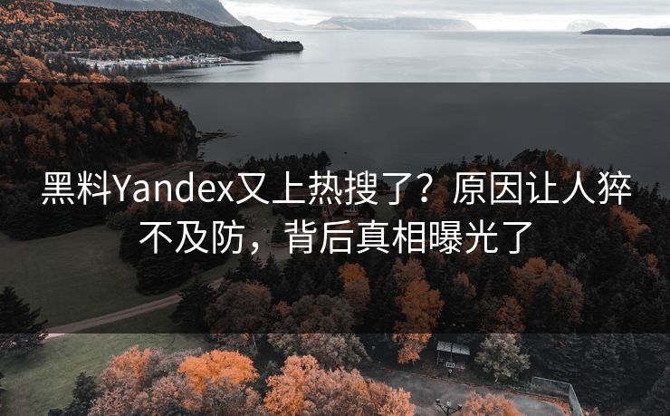 黑料Yandex又上热搜了？原因让人猝不及防，背后真相曝光了  第1张