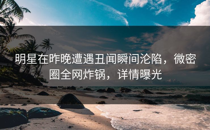 明星在昨晚遭遇丑闻瞬间沦陷，微密圈全网炸锅，详情曝光